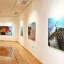 [2025년 상반기]서양화 이미지