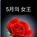 네잎크로바