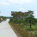 동호농장 이미지