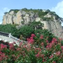 복호산(청도)후레쉬모텔앞,너덜지대,정상,명품송,북대암,운문사,후레쉬모텔앞11,09,13(스타랙스)2 이미지