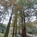 청계산 주차장 | 청계산 조깅 후기 feat. 주차장 꿀팁