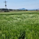 보리창고 이미지