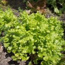 스마트팜 이미지