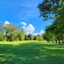 웰빙타운 이미지