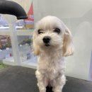 논산펫마트