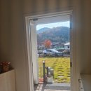 진평공인중개사사무소 이미지