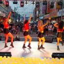 영암군 달빛축제 이미지