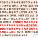 소정곡 | <2026 3월 향유고래 12회차 모임 후기> 꽃과 음악
