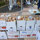 가양1동 주민센타 이미지