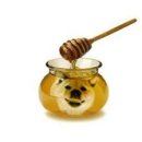 샌드위치 & 샐러드 이미지