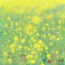 Spring Shower