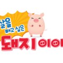 돼지이야기 이미지