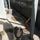 마유산로 이미지