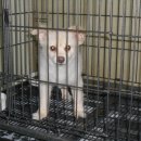 대명5동주민센터 이미지