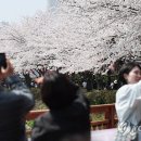너도나도
