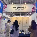 비노에이치더현대서울점 | 2025 대전 와인 축제 엑스포 박람회 입장료 후기