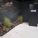 엣지성형외과의원 이미지