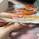 오송대게킹크랩