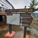 둔덕청마꽃들작은도서관 이미지