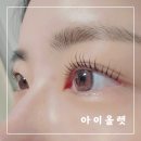 청주 봉명동 속눈썹펌 :: 아이올렛