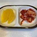 과천에서 즐기는 맛있는 김밥과 스파게티!