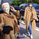 대신모자