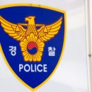 송선로-6 매일경제