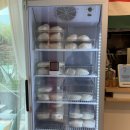 맛파파 | 대구 신월성맛집 파파도우 450도 나폴리피자 화덕피자 솔직후기