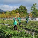 대학로3길-3 이미지