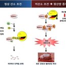 속암 티스토리
