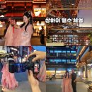 예원 | 중국 상해 여행 상하이 예원 왕홍체험 가격 후기