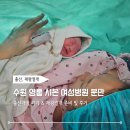 시온이불 | 수원 시온여성병원 38+6일 분만, 출산 가방 싸기 &amp; 제왕절개 후기