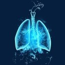 트렌드 핏 이미지