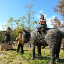 주촌초등학교 이미지