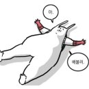 엄마네국수