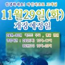 양지-11 Daum카페