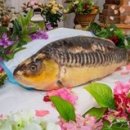 물고기세상 이미지