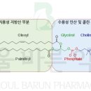 서울바른약국 이미지