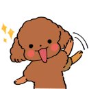 금성갈비탕 이미지