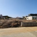 강화부동산중개인사무소 이미지