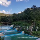 봉동 구수골계곡(CCTV) | 현산 봉동 구수골 산림욕장