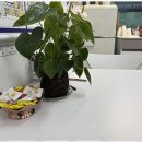 미소부동산중개 이미지