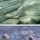 나로고등학교 이미지