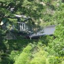 대자연횟집 이미지