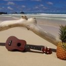 우쿨렐레 중급반 이미지