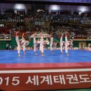세계태권도 이미지
