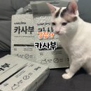 모두의 집사 | [ 강집사 카사부 ] 고양이모래 두부 카사바 혼합모래 먼지 없는 모래 추천 및 후기