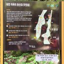 도마천 | 2022년 7월 가평여행_용소폭포 등 폭포순례