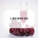 연세행복을심는치과의원 이미지