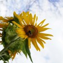 숲속의하루 이미지